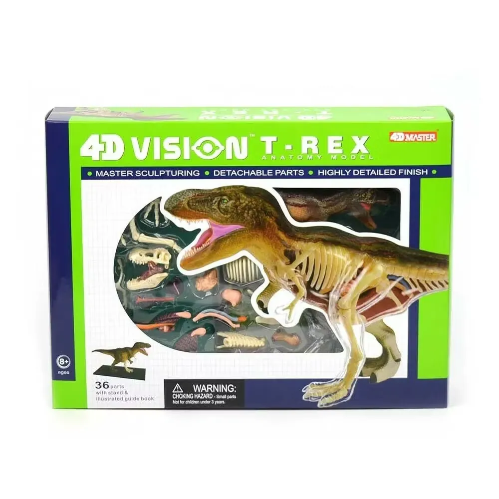 Dinosaurie T-Rex anatomi 36 delar - Animal anatomy dinosaur