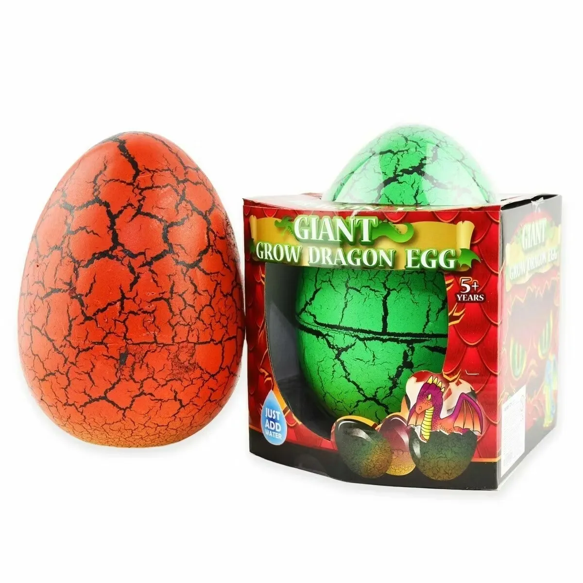 Growing Egg Dragon Giant