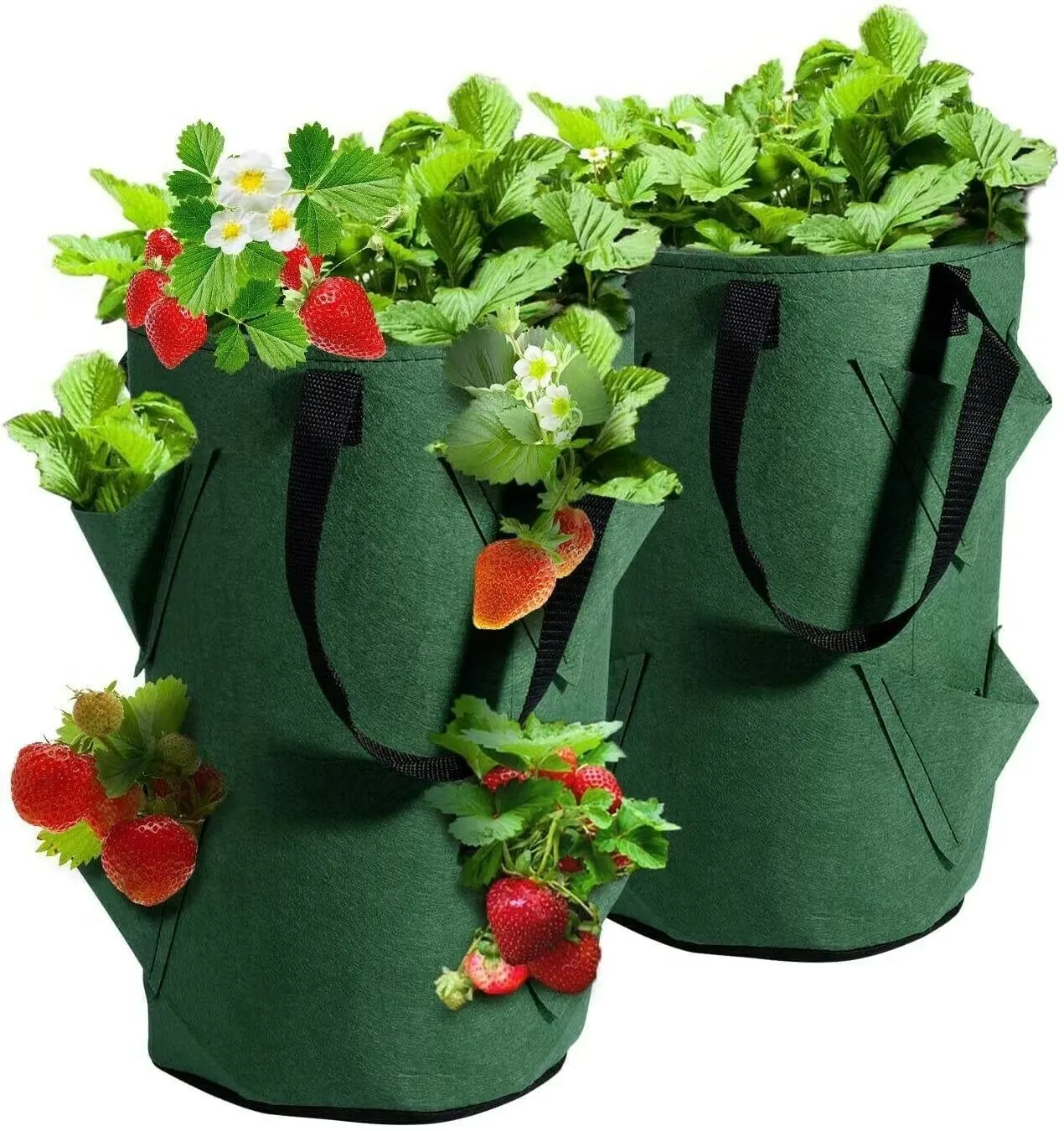 Tygkruka för jordgubbar - Grönsaker